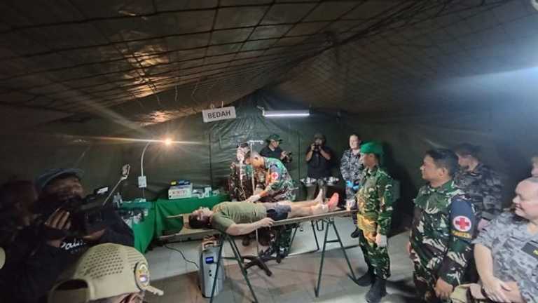 Search image article