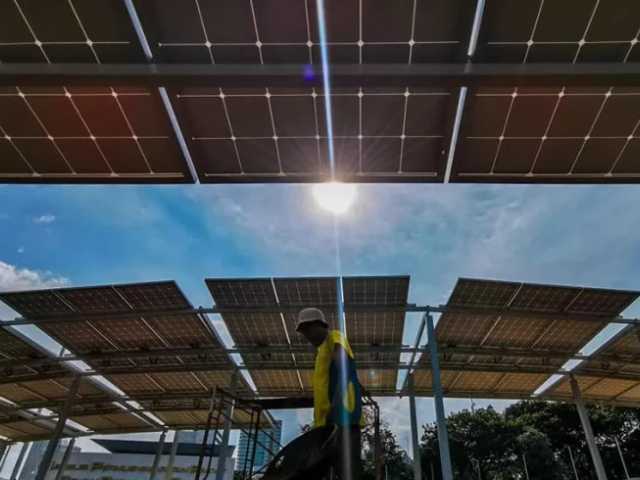 Search image article