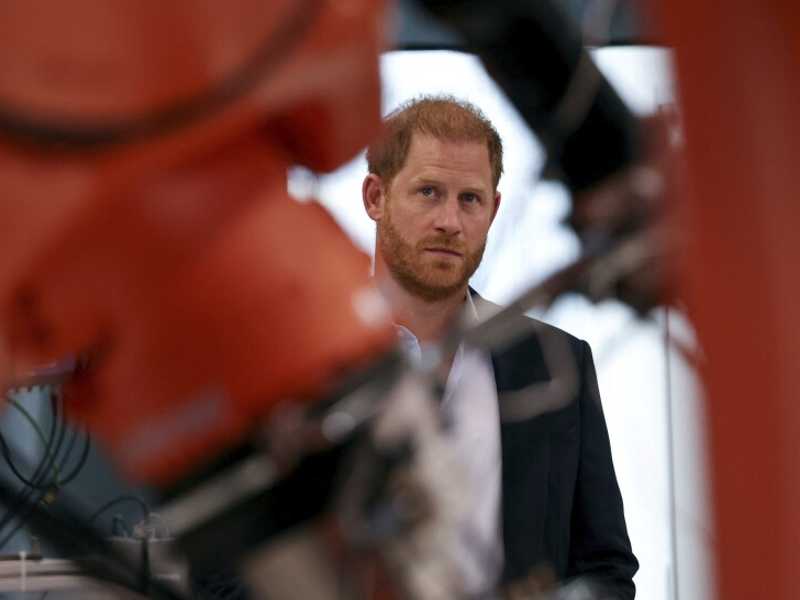 Search image article