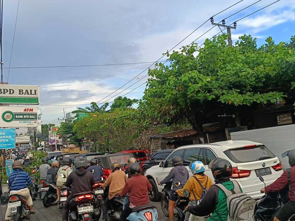 Search image article