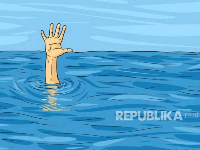 Search image article