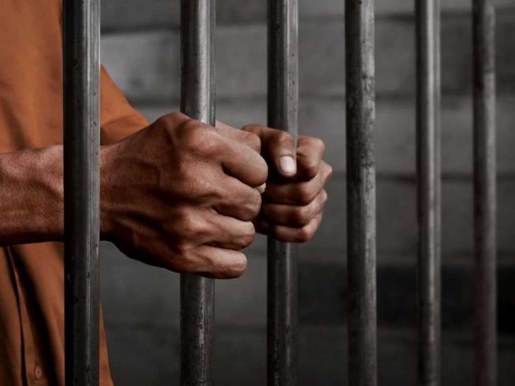 Search image article