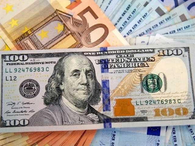 Search image article