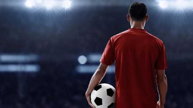 Search image article