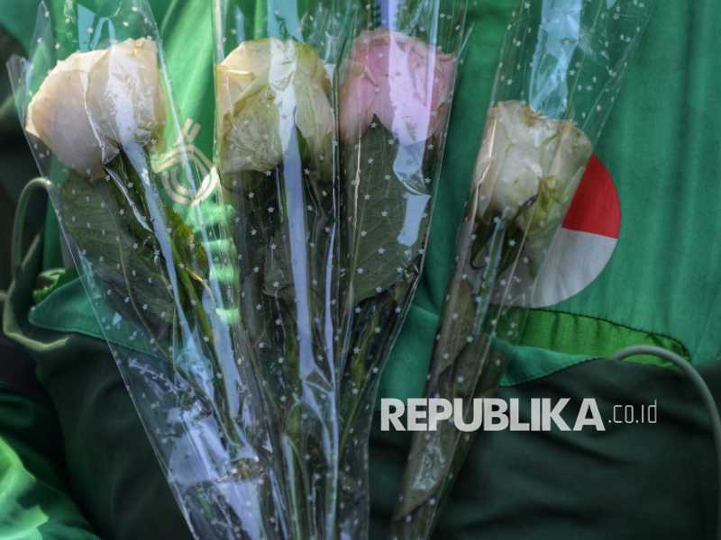 Search image article