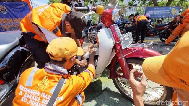 Search image article