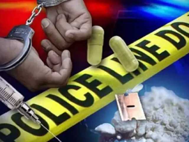 Search image article