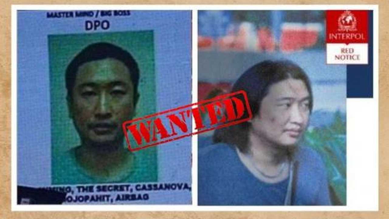 Search image article