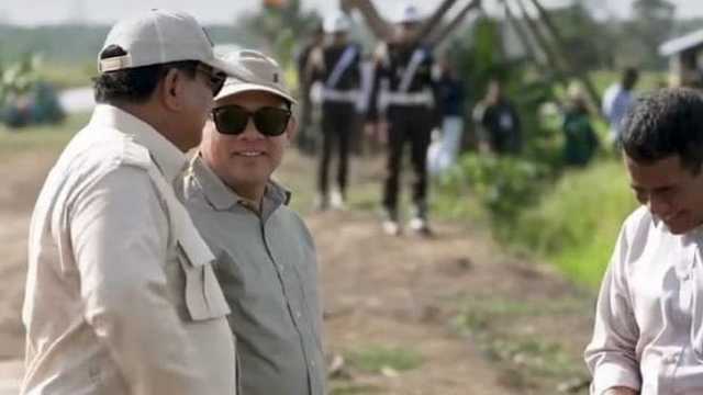 Search image article