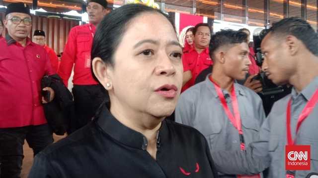 Search image article