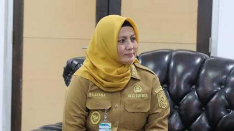 Wagub Hellyana Duduk di Kursi Terdakwa, Sidang Penipuan Dimulai 17 November