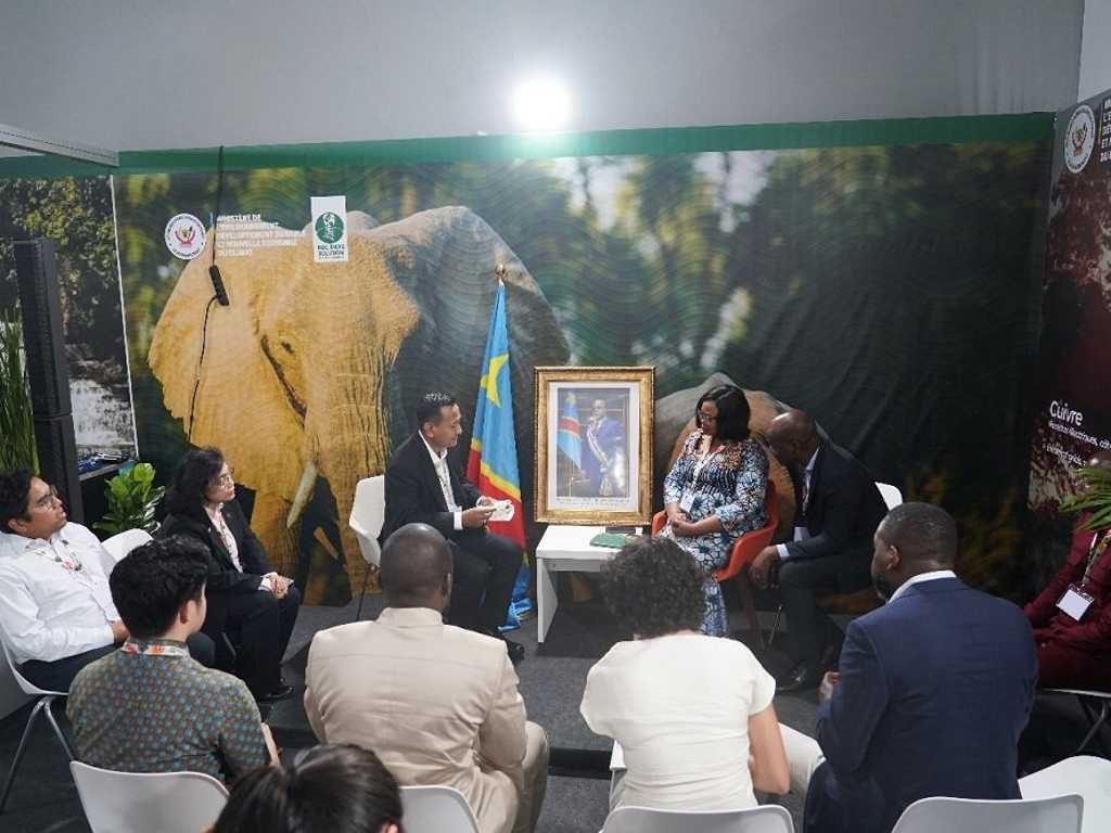 Search image article