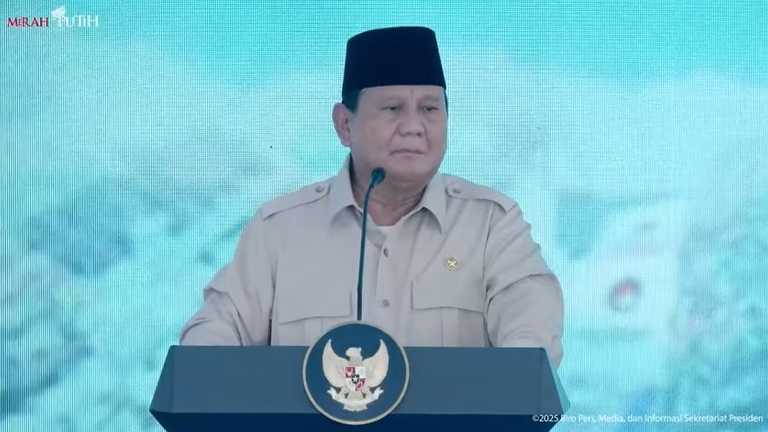 Search image article