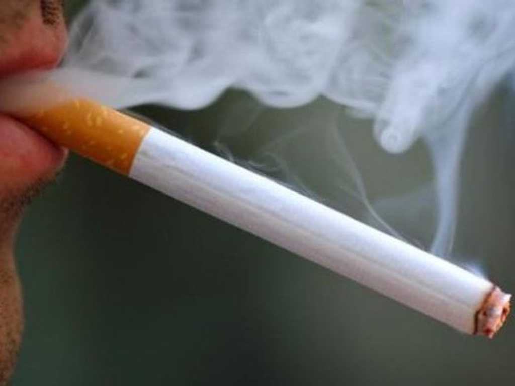 Search image article