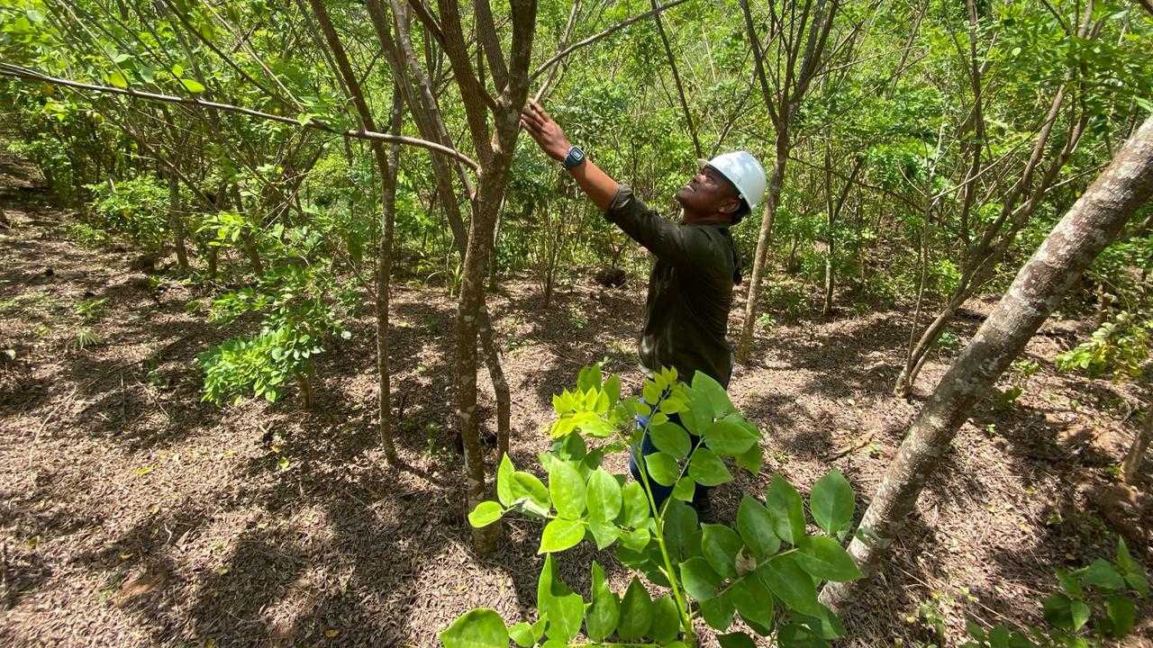 Search image article