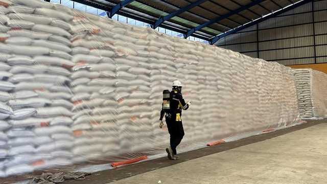 Bulog Pastikan Kualitas Beras Nasional Aman, Stok 3,9 Juta Ton Terjaga
