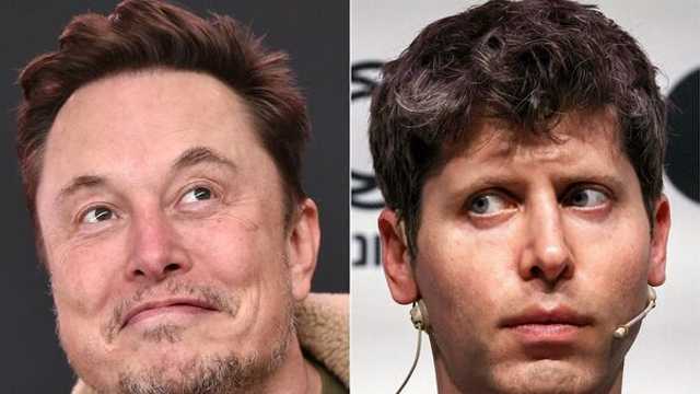 Search image article