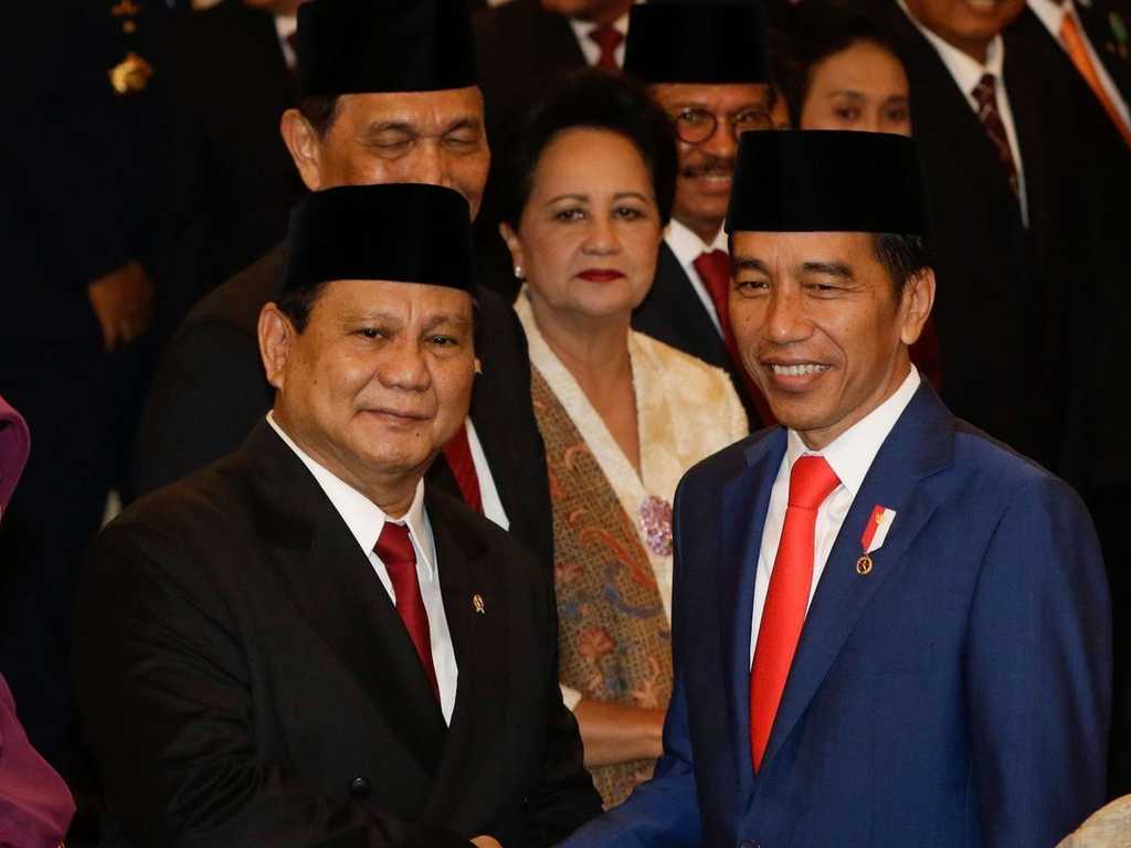 Search image article