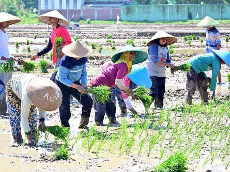 Search image article