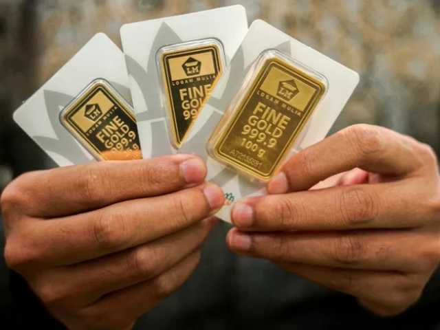 Search image article