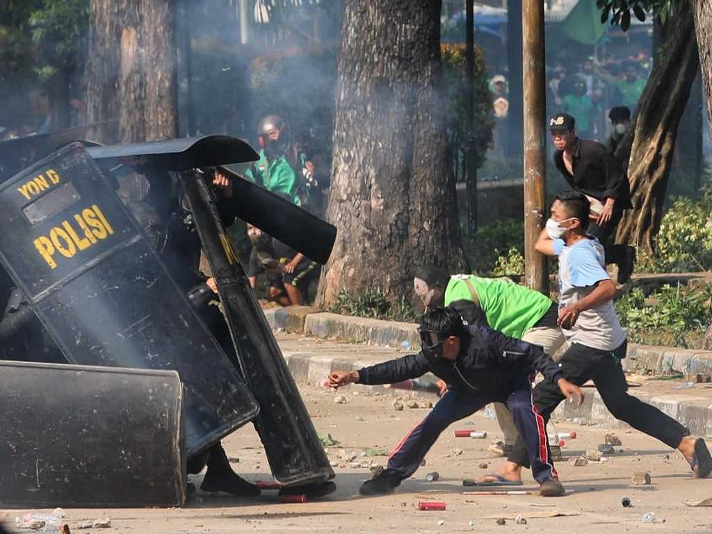 Search image article