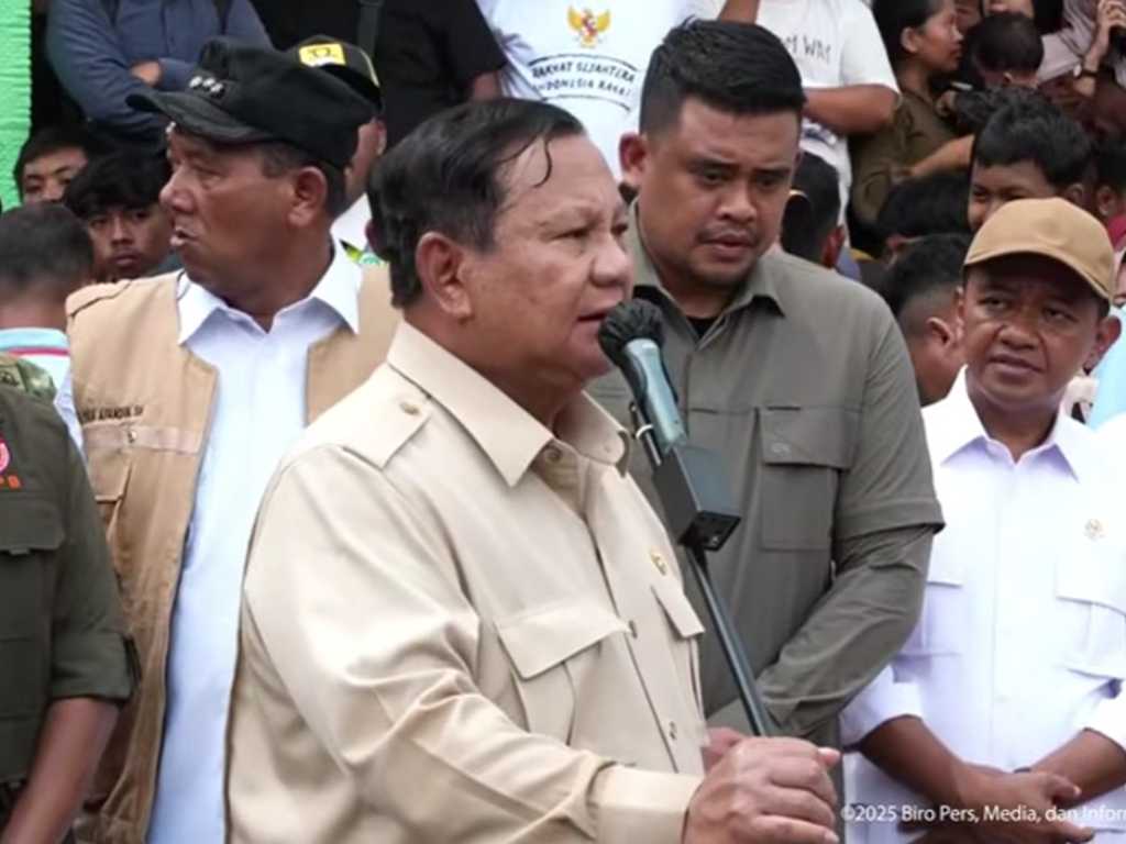 Search image article