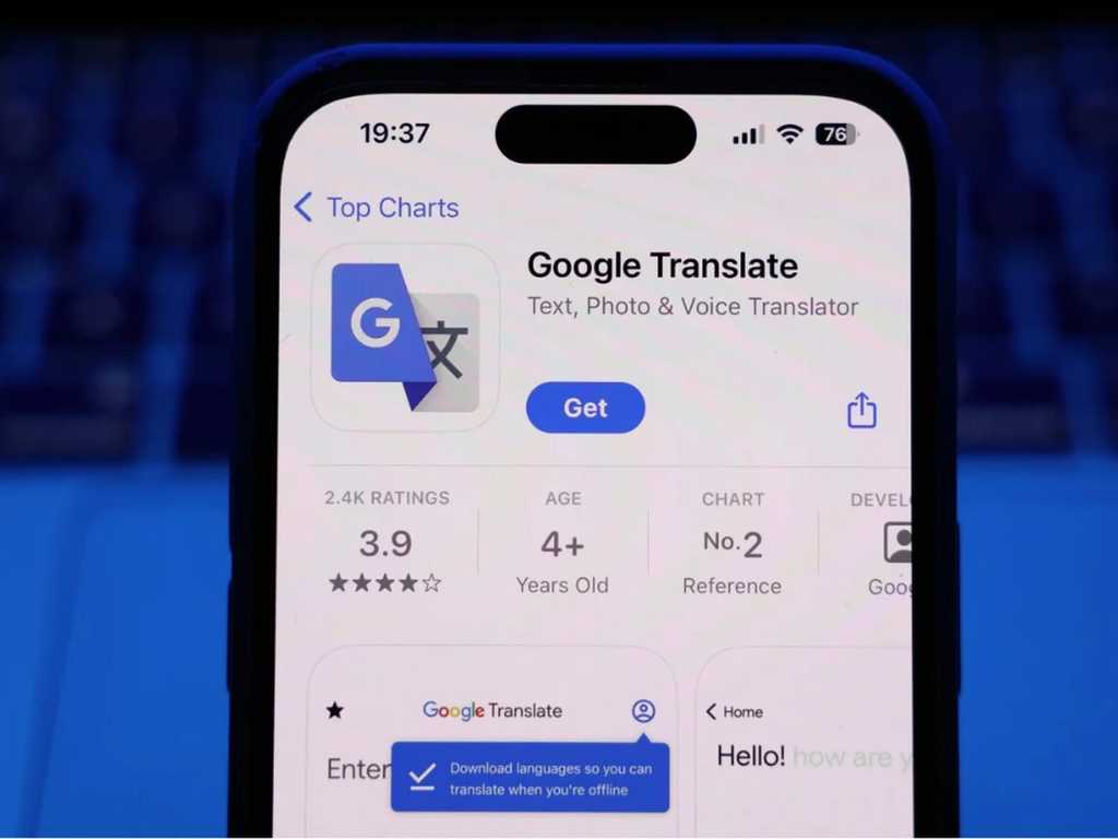 Search image article