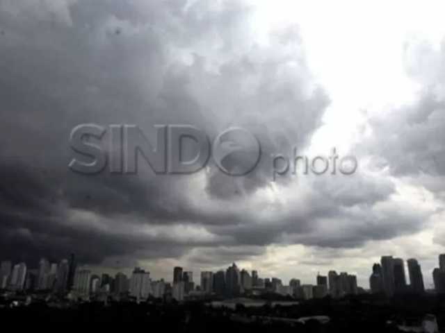 Search image article