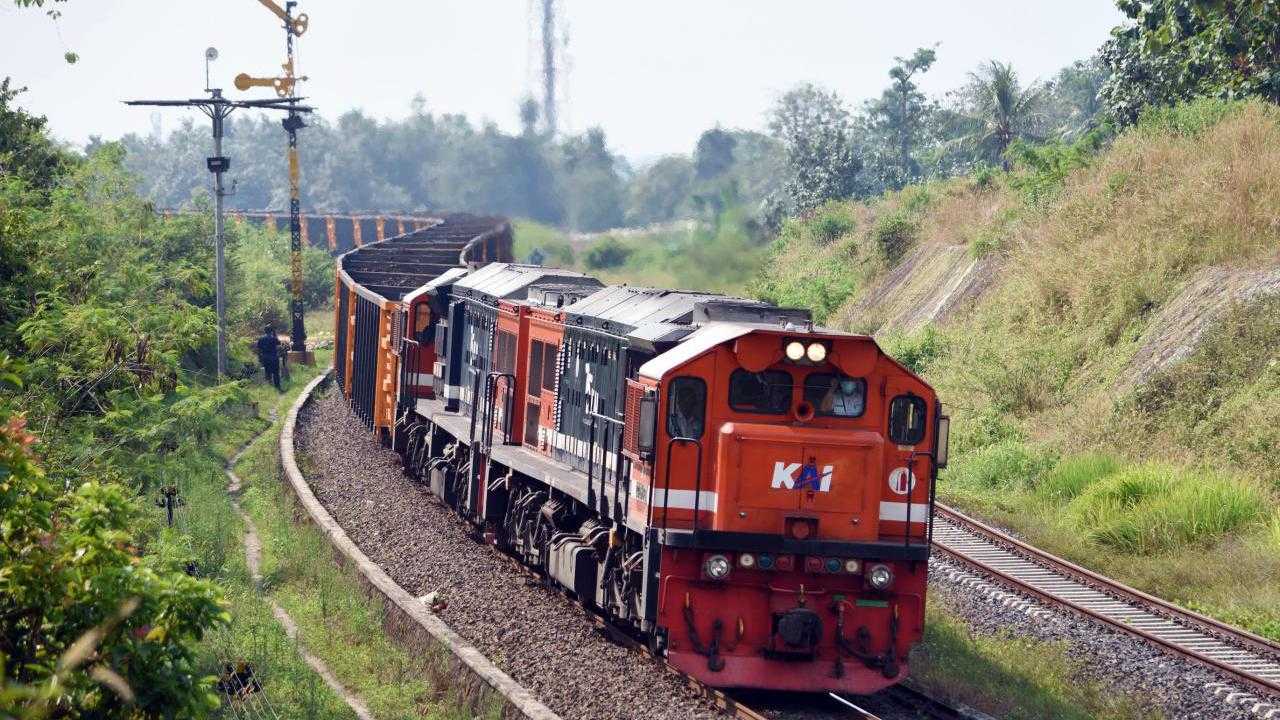 Search image article