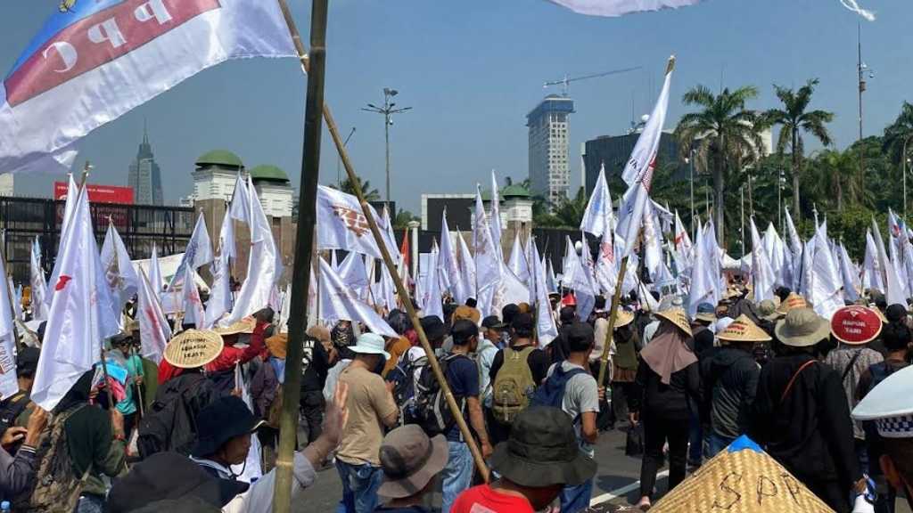 Search image article