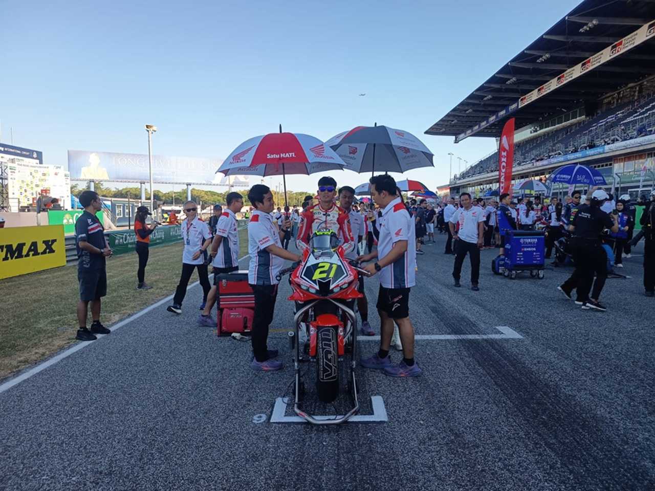 Search image article