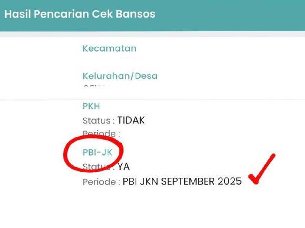 Search image article