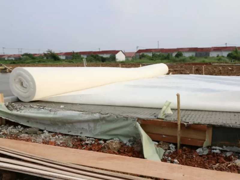 Search image article