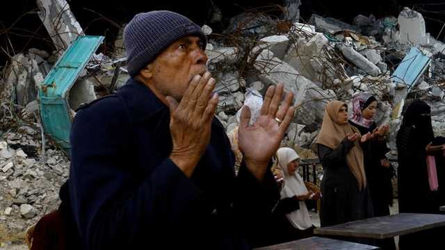 Search image article