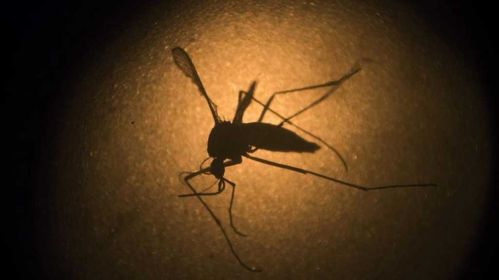 Wabah DBD Bangladesh Makin Mengkhawatirkan, Ratusan Orang Meninggal