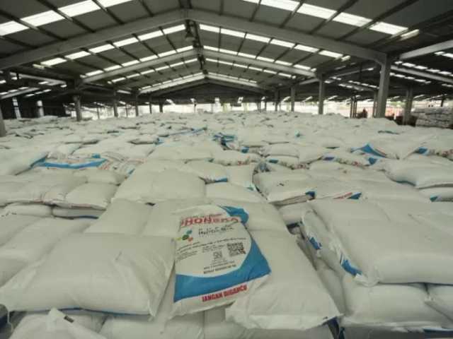 Search image article