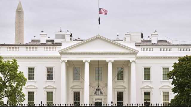 Search image article