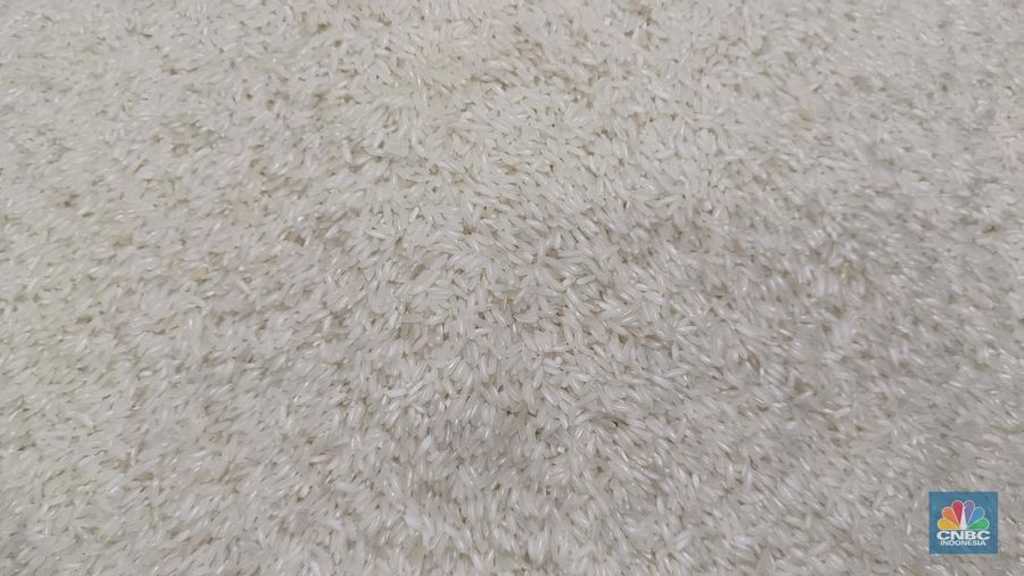Beras Premium Langka di Ritel Modern, Kemendag: Ritel Hati-hati Cek Kualitas
