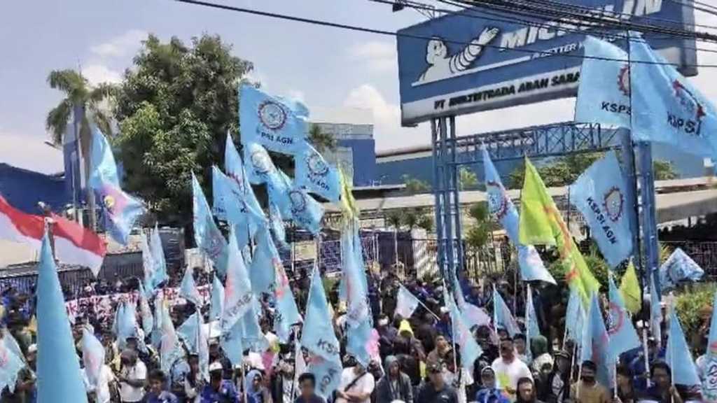 Search image article