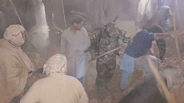 Search image article