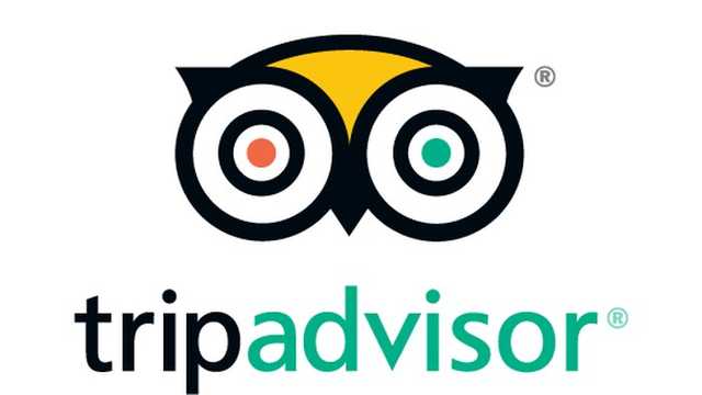 Search image article