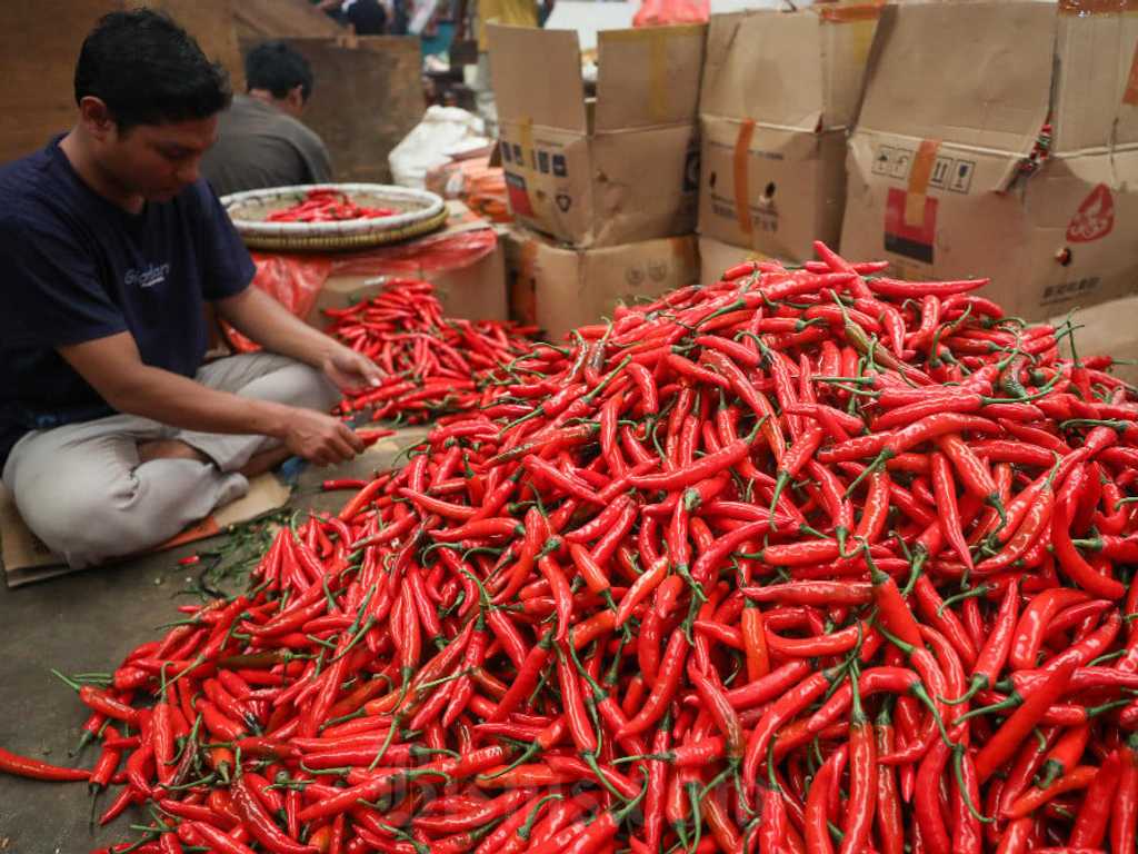 Harga pangan melonjak, beras dan cabai di atas harga acuan