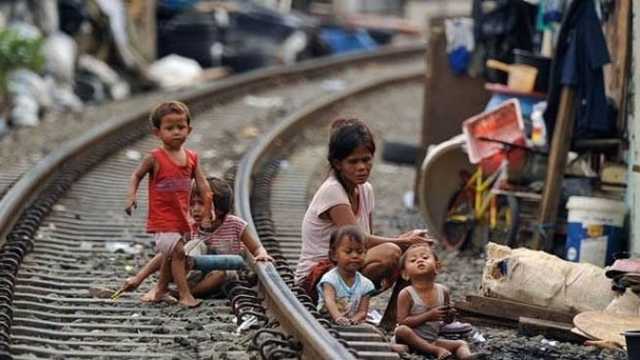 Search image article