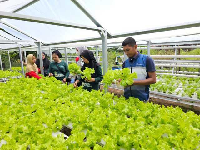 Search image article