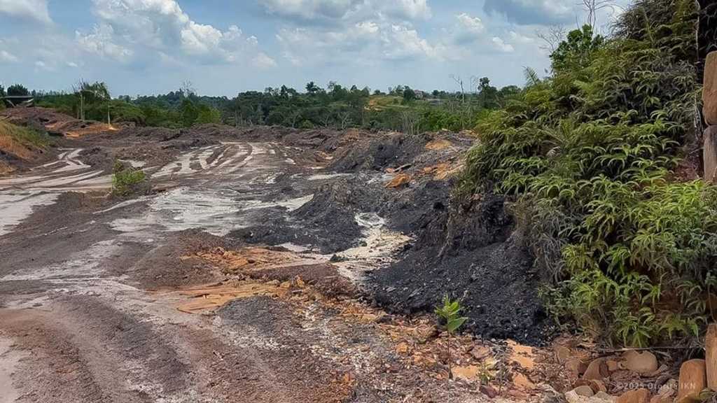 Search image article