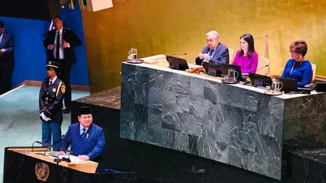 Search image article