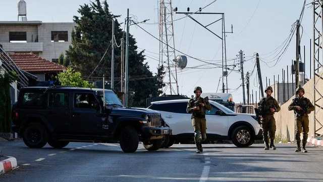 Search image article