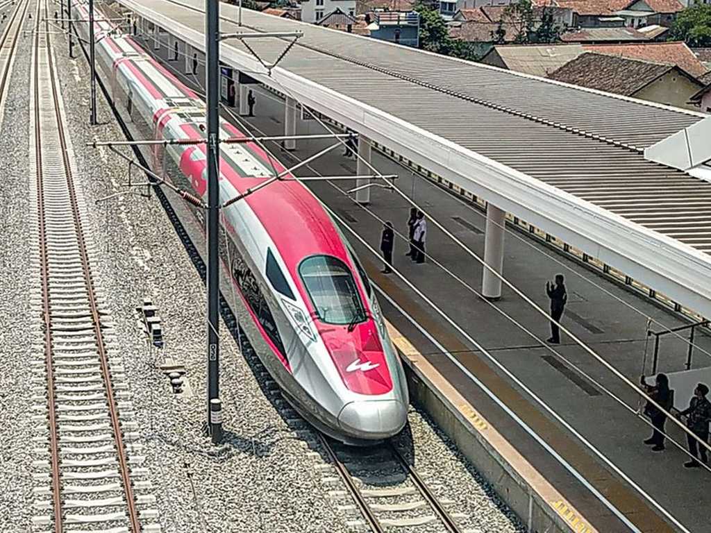 Search image article