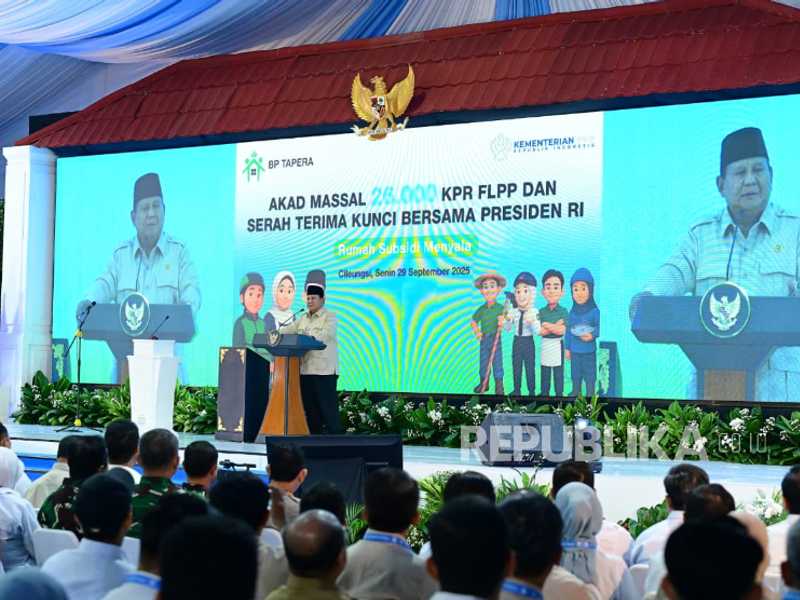 Search image article