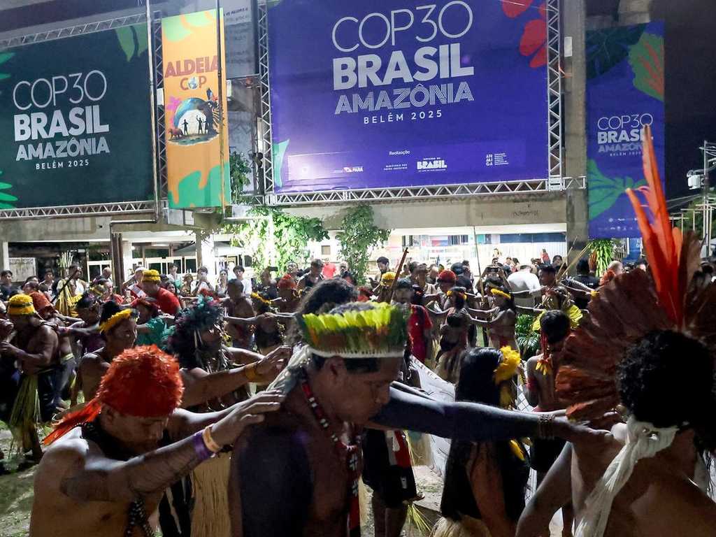 Search image article